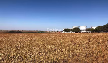 Área para alugar, Morada Nova - Uberlândia/MG - Rotina Imobiliária