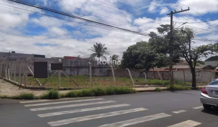 Área para alugar, Umuarama - Uberlândia/MG - Rotina Imobiliária