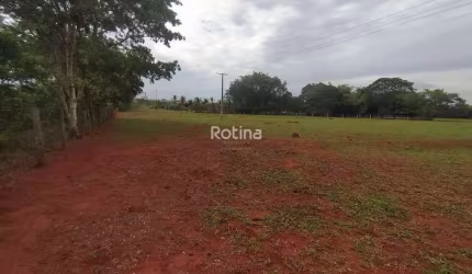 Área para alugar, Zona Rural - Uberlândia/MG - Rotina Imobiliária