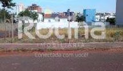 Área para alugar, Jardim Colina - Uberlândia/MG - Rotina Imobiliária