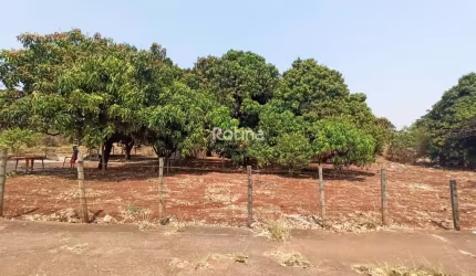Terreno para alugar, Chacaras Tubalina e Quartel - Uberlândia/MG - Rotina Imobiliária