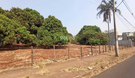 Terreno para alugar, Chacaras Tubalina e Quartel - Uberlândia/MG - Rotina Imobiliária