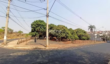 Terreno para alugar, Jardim Patrícia - Uberlândia/MG - Rotina Imobiliária