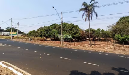 Terreno para alugar, Jardim Patrícia - Uberlândia/MG - Rotina Imobiliária