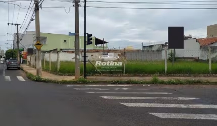 Área para alugar, Vigilato Pereira - Uberlândia/MG - Rotina Imobiliária