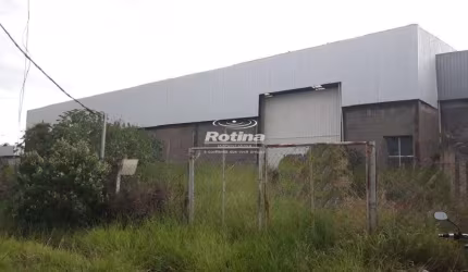 Galpão para alugar, Distrito Industrial - Uberlândia/MG - Rotina Imobiliária