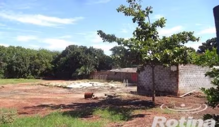 Área para alugar, Jardim Brasília - Uberlândia/MG - Rotina Imobiliária