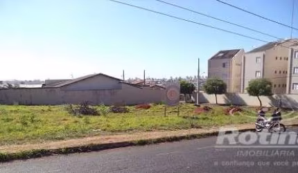 Área para alugar, Jardim Patrícia - Uberlândia/MG - Rotina Imobiliária