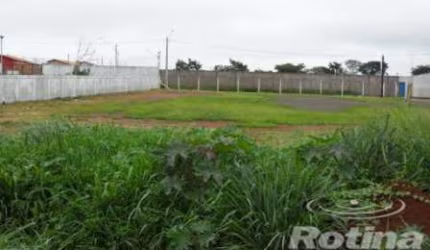 Terreno para alugar, Minas Gerais - Uberlândia/MG - Rotina Imobiliária