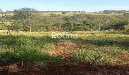Terreno para alugar, Morumbi - Uberlândia/MG - Rotina Imobiliária