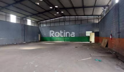 Galpão para alugar, Distrito Industrial - Uberlândia/MG - Rotina Imobiliária