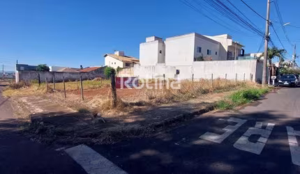 Terreno para alugar, Alto Umuarama - Uberlândia/MG - Rotina Imobiliária