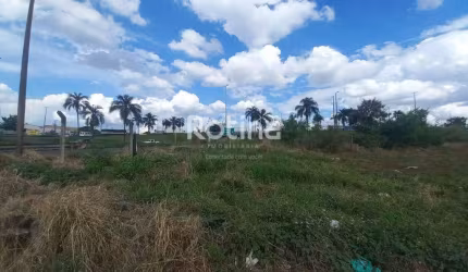 Área para alugar, Marta Helena - Uberlândia/MG - Rotina Imobiliária