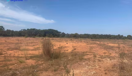 Área à venda, 65.000 m² por R$ 1.500.000 - Saída de Rondonópolis/MT