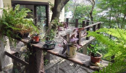 Casa com 3 quartos à venda na Rua Marechal Espiridião Rosa, Laranjeiras, Rio de Janeiro, 320 m2 por R$ 2.500.000