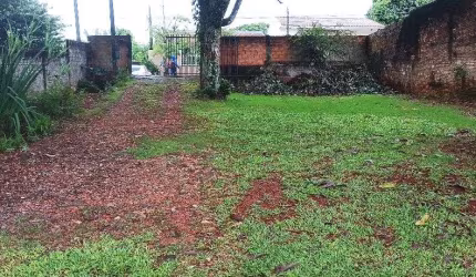 Terreno com 390m2 - Bairro Universitario