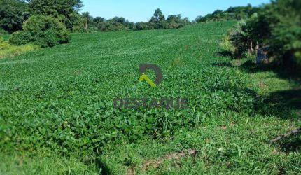 Chacara com 4000m2 - Distrito de Sao Salvador