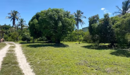 Sitio em área urbana no Marcos Freire III