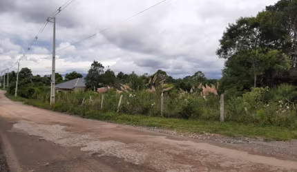 GRANDE ÁREA - BORDA DO CAMPO - SÃO JOSÉ DOS PINHAIS