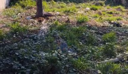 TERRENO NO TABAVILAGE (JARDIM SUELI)