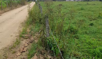 Área rural no Braço