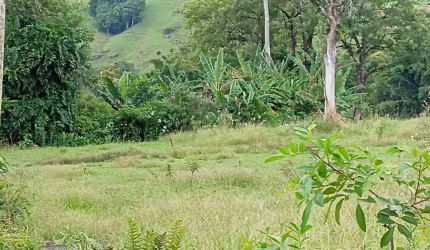 Área rural de 10.000m² com rio.