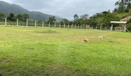 Sítio na Encantada com 20.000m²