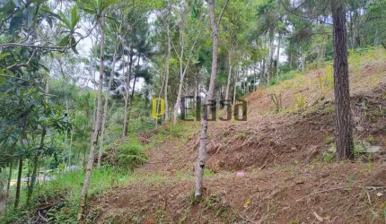 Chácara para venda