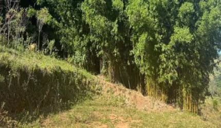 Área Urbana para Venda em Bragança Paulista, Toró