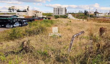 Terreno comercial situado na Av. Prefeito Evandro Behr (faixa velha de Camobi) e