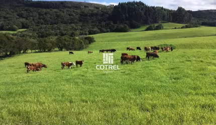 Fazenda com 609 hectares para pecuária em Santana da Boa Vista/RS