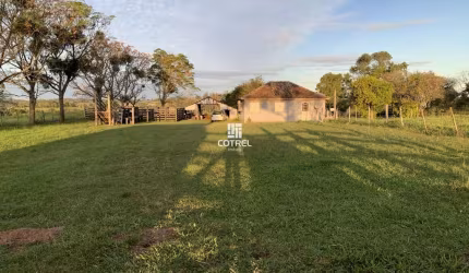 Chácara 3 hectares no Distrito de Pains localizado na cidade de Santa Maria/RS