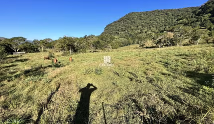 Chácara com 3.5 hectares para venda no Distrito de Arroio Grande em Santa Maria/