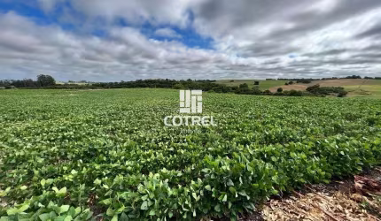 Campo para venda com 86 hectares localizado em Caçapava do Sul/RS.