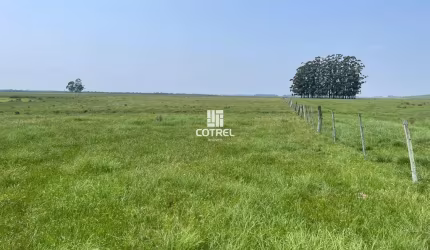 Fazenda para venda com 217 ha localizada na cidade de Sant'Ana do Livramento/RS.