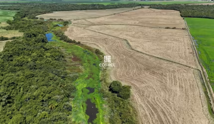 Campo para venda com 94 hectares em São Sepé/RS