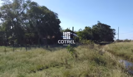 Fazenda para venda com 169 hectares em Alegrete/RS