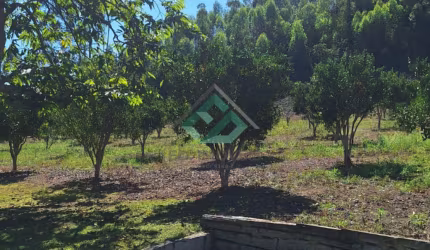 Chácara para venda possui 20.000m² em Alto Caxixe - Venda Nova do Imigrante - ES