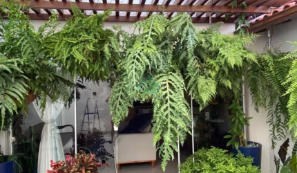 Casa alto padrão com 3 quartos a venda no Centro de Domingos Martins - ES