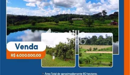 FAZENDA COM 80 HECTARES EM RIO PRETO DA EVA (P)