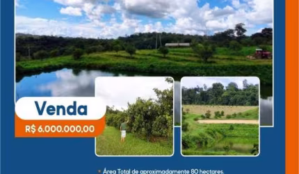 FAZENDA PARA VENDA NO RIO PRETO DA EVA (PE)