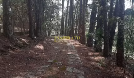 Sítio à venda 26.000 m² por R$ 1.200.000 - Medeiros - Jundiaí/SP
