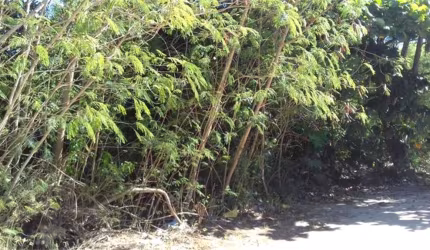 Terreno à venda em Itaipu - RJ