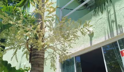 Casa com 3 quartos à venda em Serra Grande - RJ