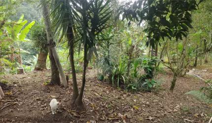 Terreno à venda em Badu - RJ