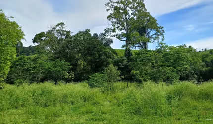 GRANJA FUNDOS RIO COM CASINHA SIMPLES