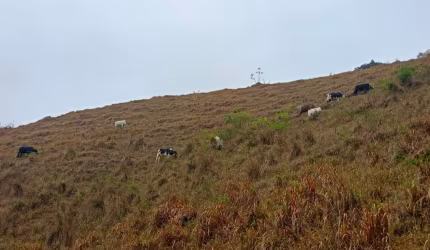 Sítio em Lima Duarte, MG 10 Hectares