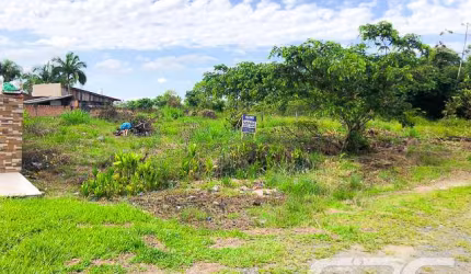 Terreno | Joinville | Paranaguamirim