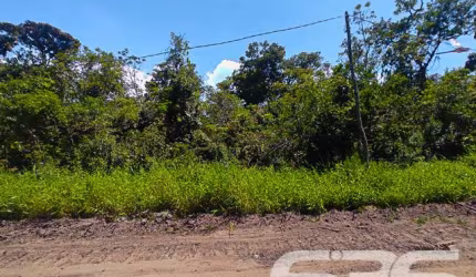 Terreno | São Francisco do Sul | Ervino