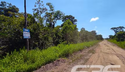 Terreno | São Francisco do Sul | Ervino